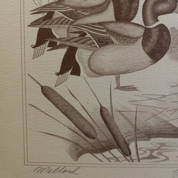 Vintage American Waterfowl Etching/Print Lynn Forehand 2 of 5 Cottagecore… - Picture 2 of 6